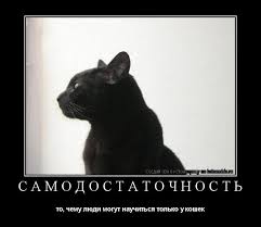 "Все мужики – сво...": идеальная философия