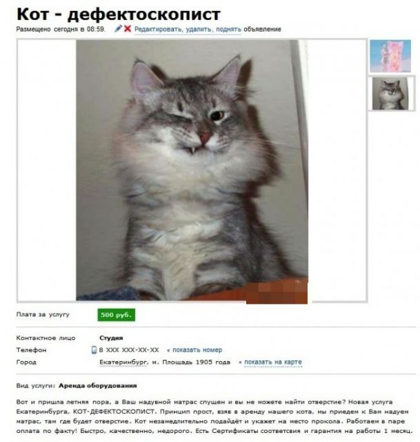 Прикольные картинки на понедельник .
