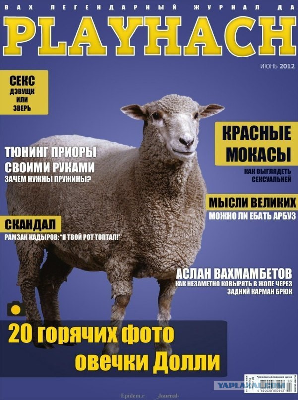 Как сподвигнуть женщину на минет