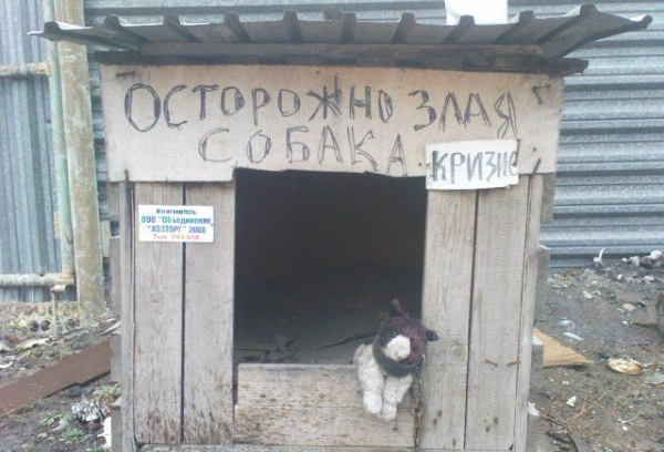 Самый надежный сторож!