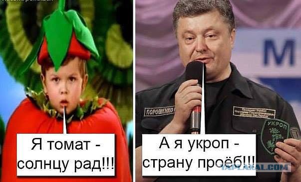Смешное из сети #2