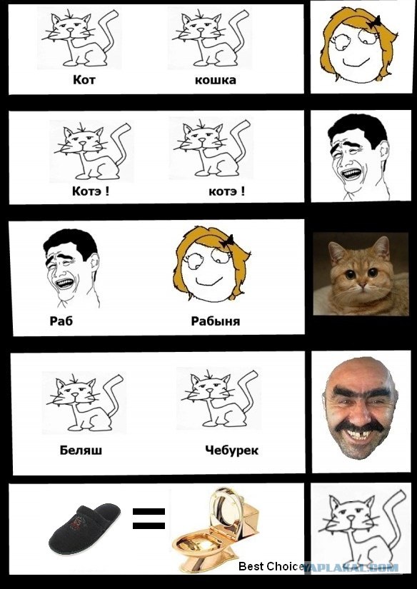Коты и взгляды