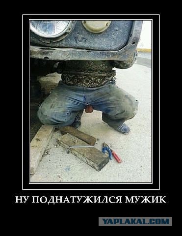 Весёлое из сети