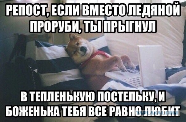 Крещенское купание, говорите...