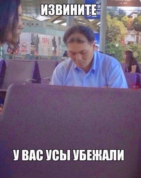 Забавные картинки из интернетов
