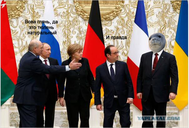 Предлагаю пожабить