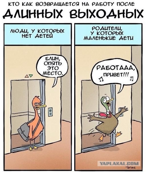 Веселые картинки