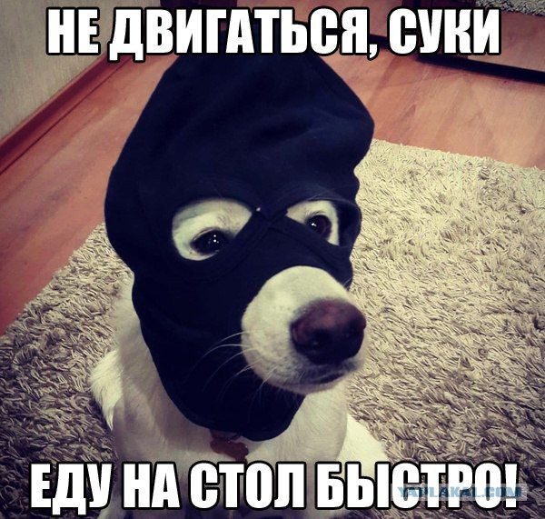 Картинки разные