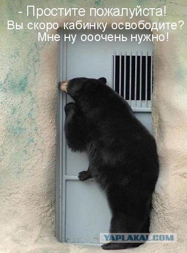 В варшавском зоопарке пьяный прыгнул к медведю