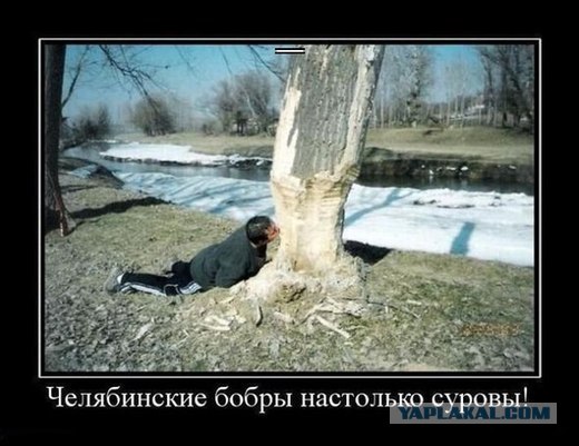Что-то не заводится