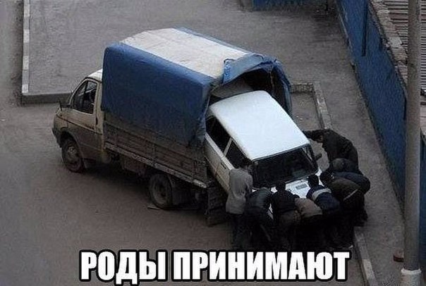 15 картинок с тЫрнета