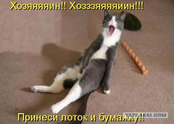 Разные картинки