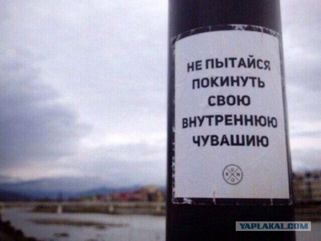 То, что улыбнуло в 2015