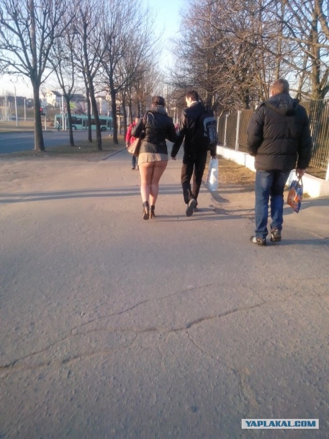 Подборка картинок из сети