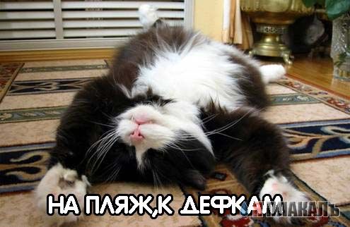 Уже да :) Ужо пятнецца...