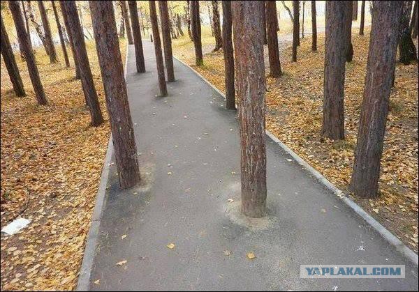 Картинки из сети