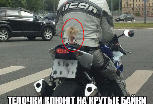 Картинки из сети, бессмысленные и беспощадные