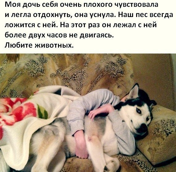 Божьи твари
