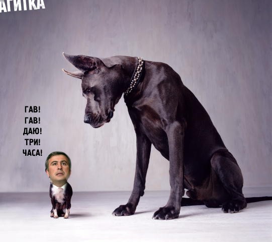 ПОЛИТИКА. Приколы над политиками, выборы и т.п.