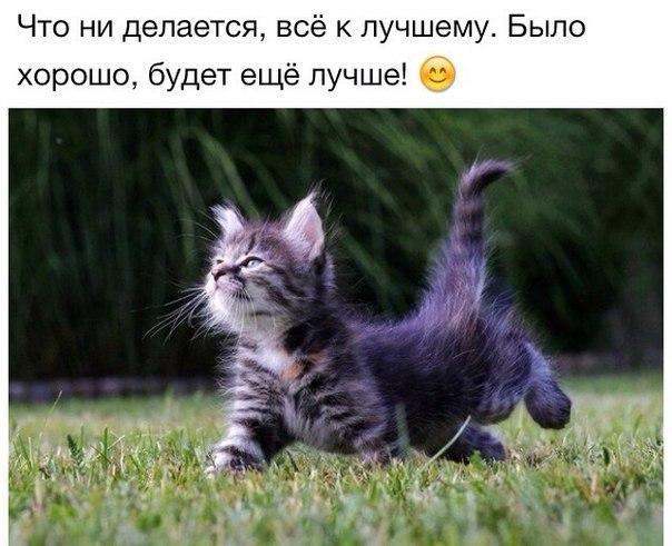Мохнатые беспредельщики