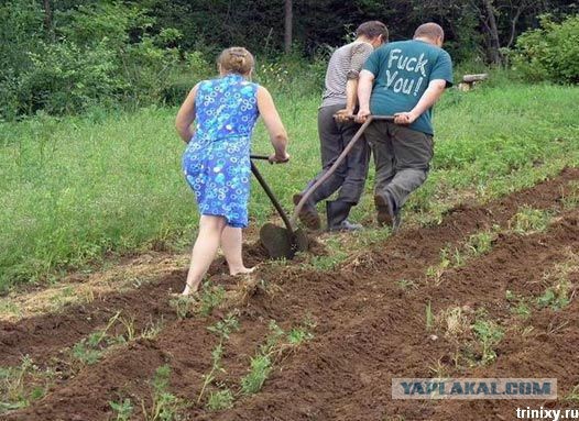 Соцсети - и смех и грех