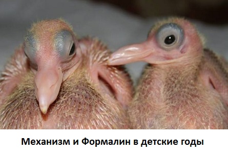 Этот замечательный момент, когда одной загадкой стало меньше