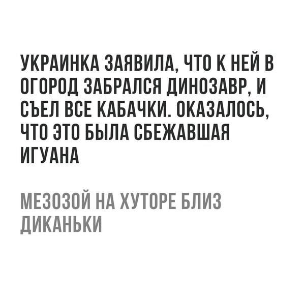 Забавные комментарии, шутки и фразы из этих ваших интернетов