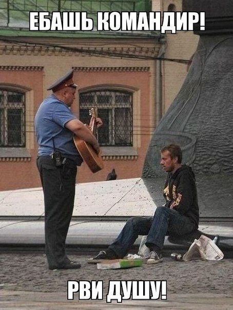 Весёлые картинки