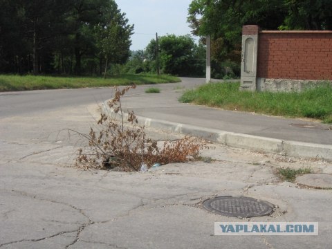Телефон или жизнь
