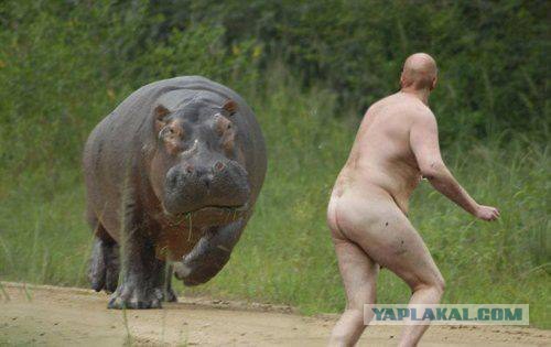 Эти точно не от мира сего.