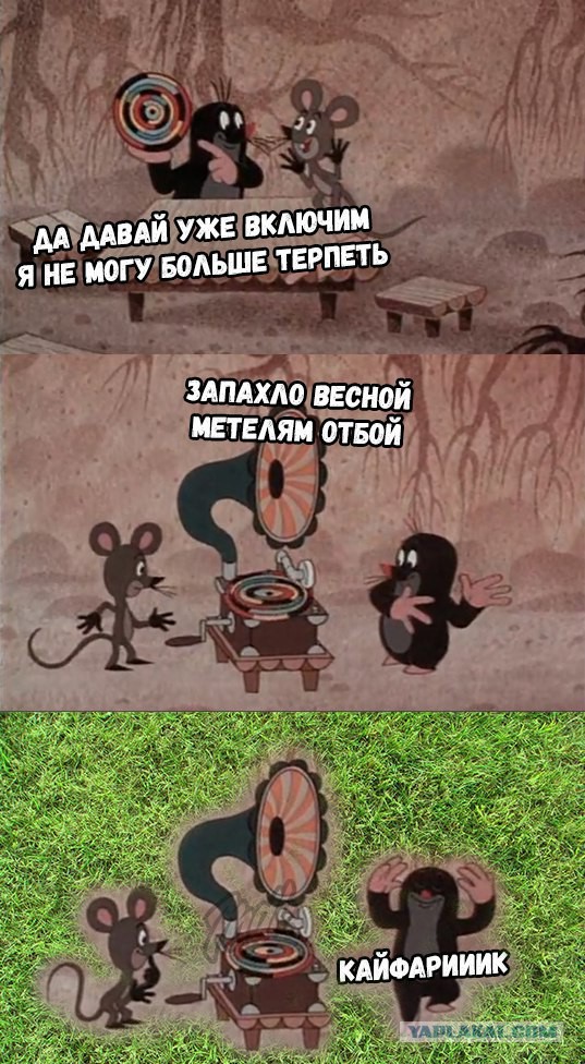Вот и пришла весна!