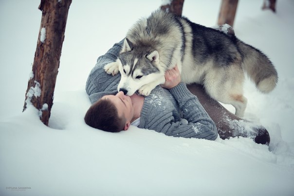 Живность из сети