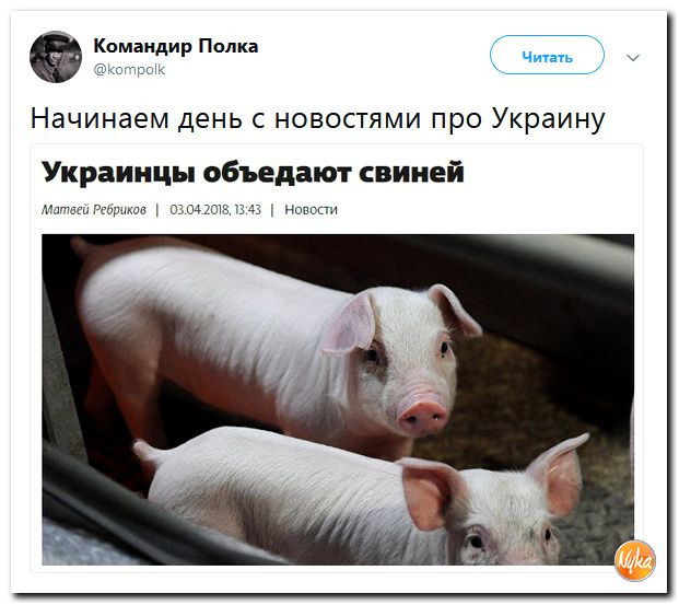 Смешные комментарии из социальных сетей 06.04.2018