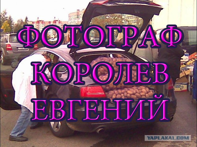 Дефицит картофеля в мире