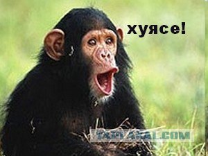 Фотокомикс: А куда ушла жена?