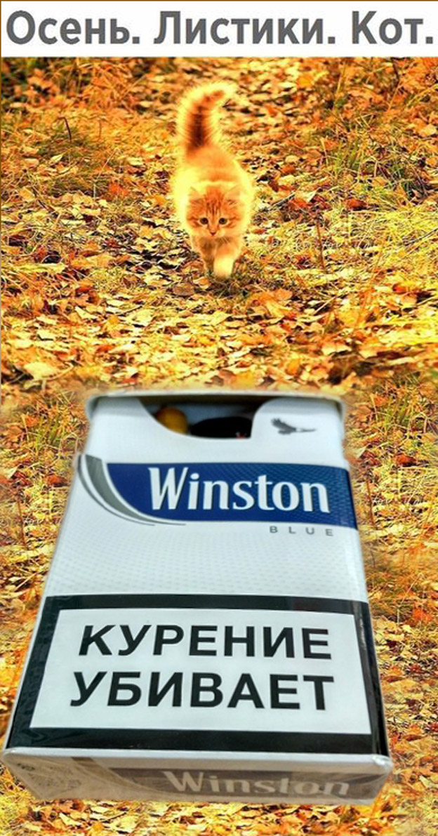 Специфический юмор