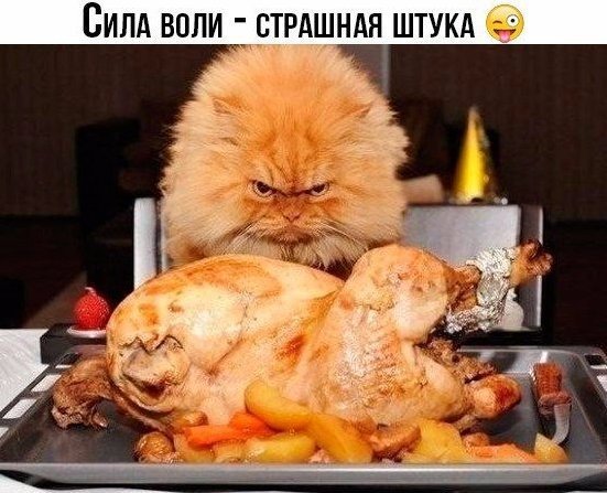 Немного милоты