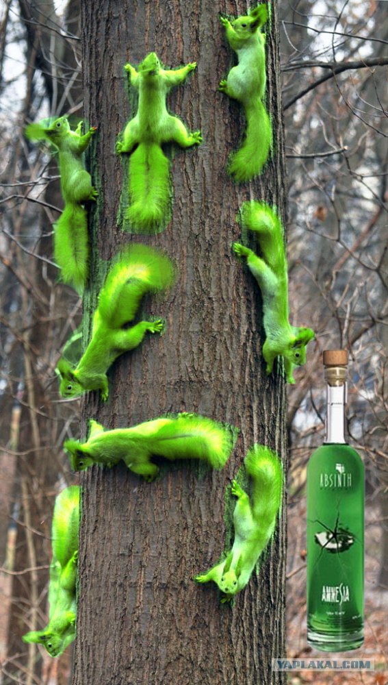 Нашествие!