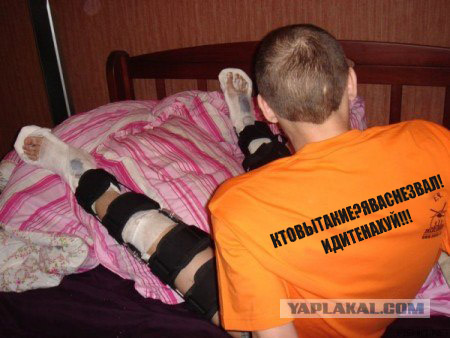 Фотография тарана.