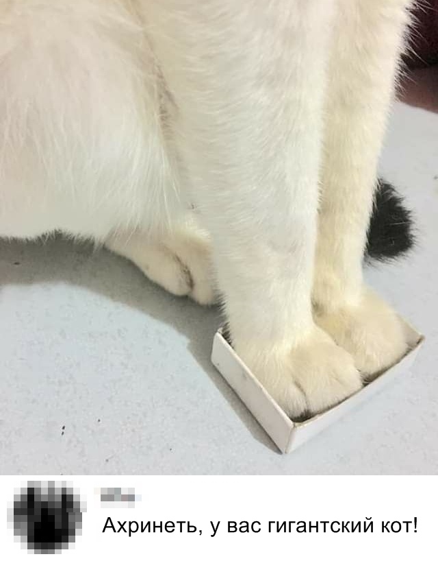 Нестандартный юмор