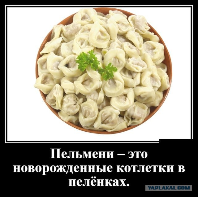 Пельмени смешные картинки прикольные