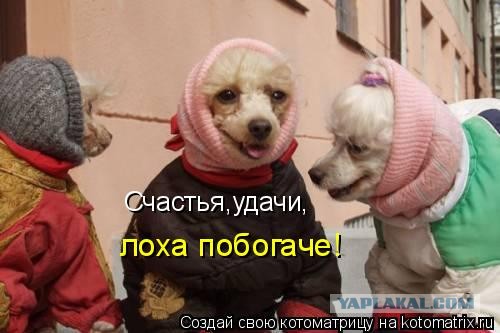 Прелести жизни разведенки
