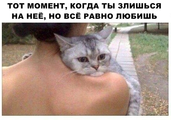 Чуток картинок! 26.12.19