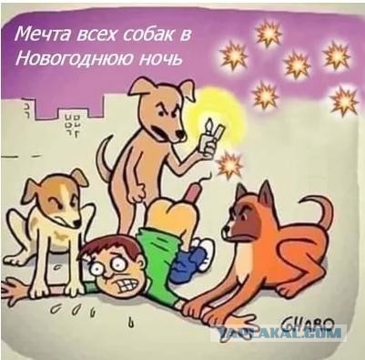 Россиянам готовят новый запрет - на счет петард и фейерверков