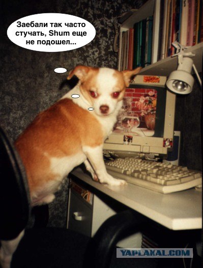 Фотожаба: 911 (на злобу дня)