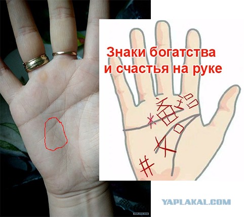 Исследую Хиромантию  (Часть 3)