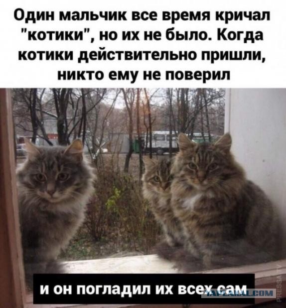 Бредзона 14.10.20
