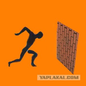 Новые олимпийские виды спорта