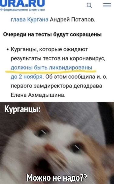 Немного картинок для настроения 10.11.20