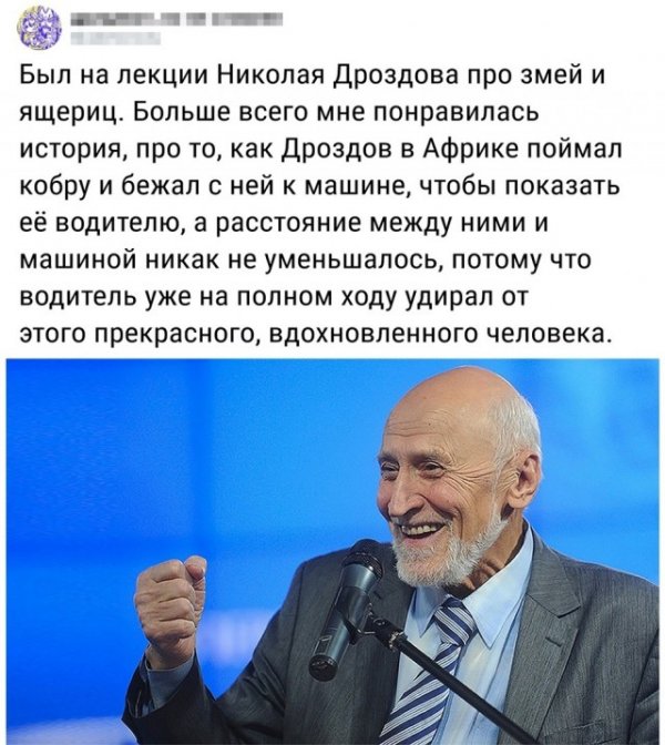 Прикольные и просто красивые картинки 19.11.2020